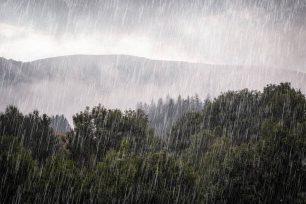 Mountain Rain